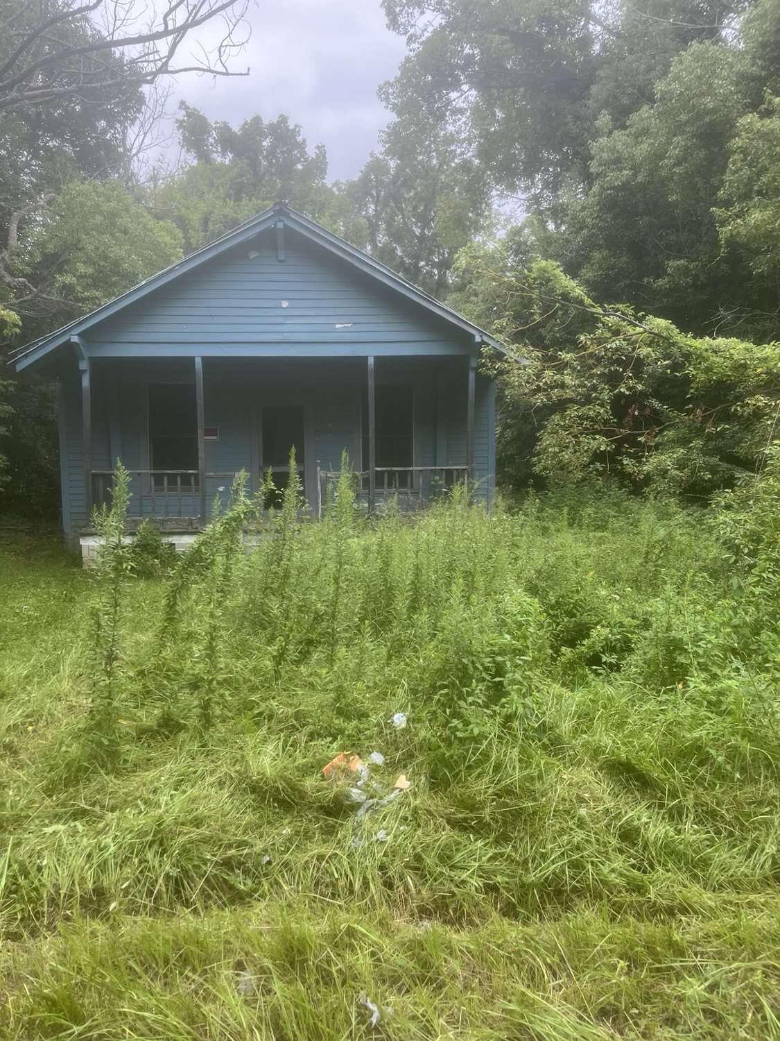 Abandoned property — overgrown before cleanup