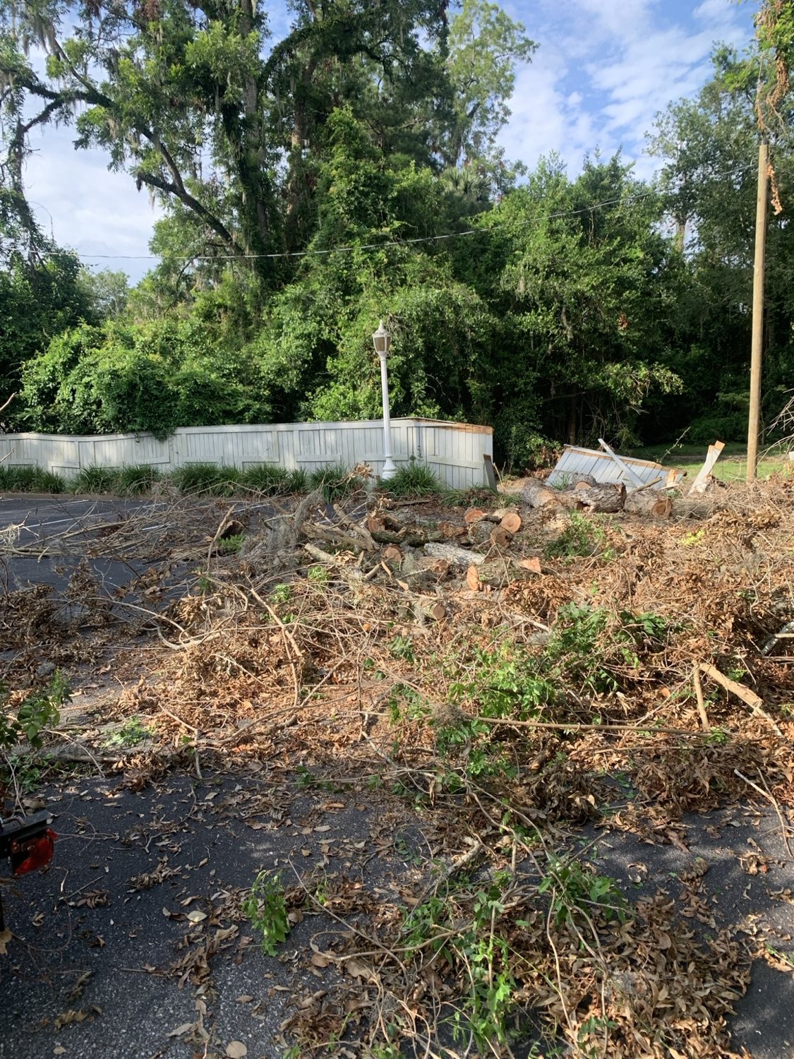 Tree & Brush Removal